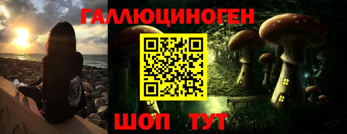 Галлюциногенные грибы Psilocybe Всеволожск